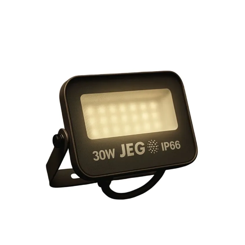 Reflector / Proyector LED 30W FRIO delgado