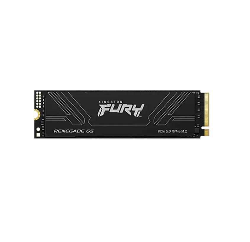 Disco SSD M.2 KINGSTON FURY RENEGADE 1000 GB NVMe GEN5 PCIe 5.0