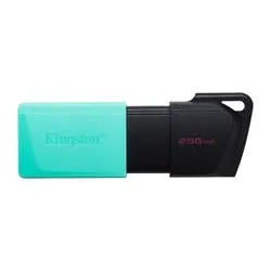 Pen Drive Kingston 256 GB USB 3.2 Datatraveler Exodia M DTXM
